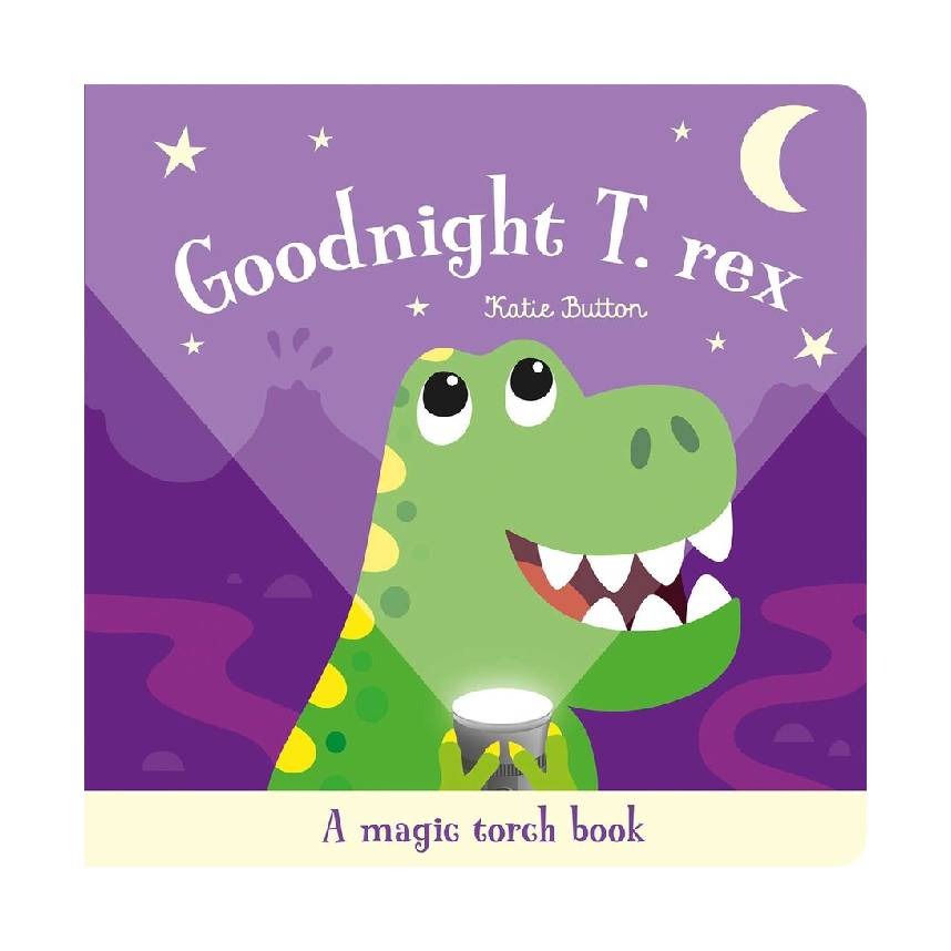 Imagine That - Torchlight Book Goodnight T Rex