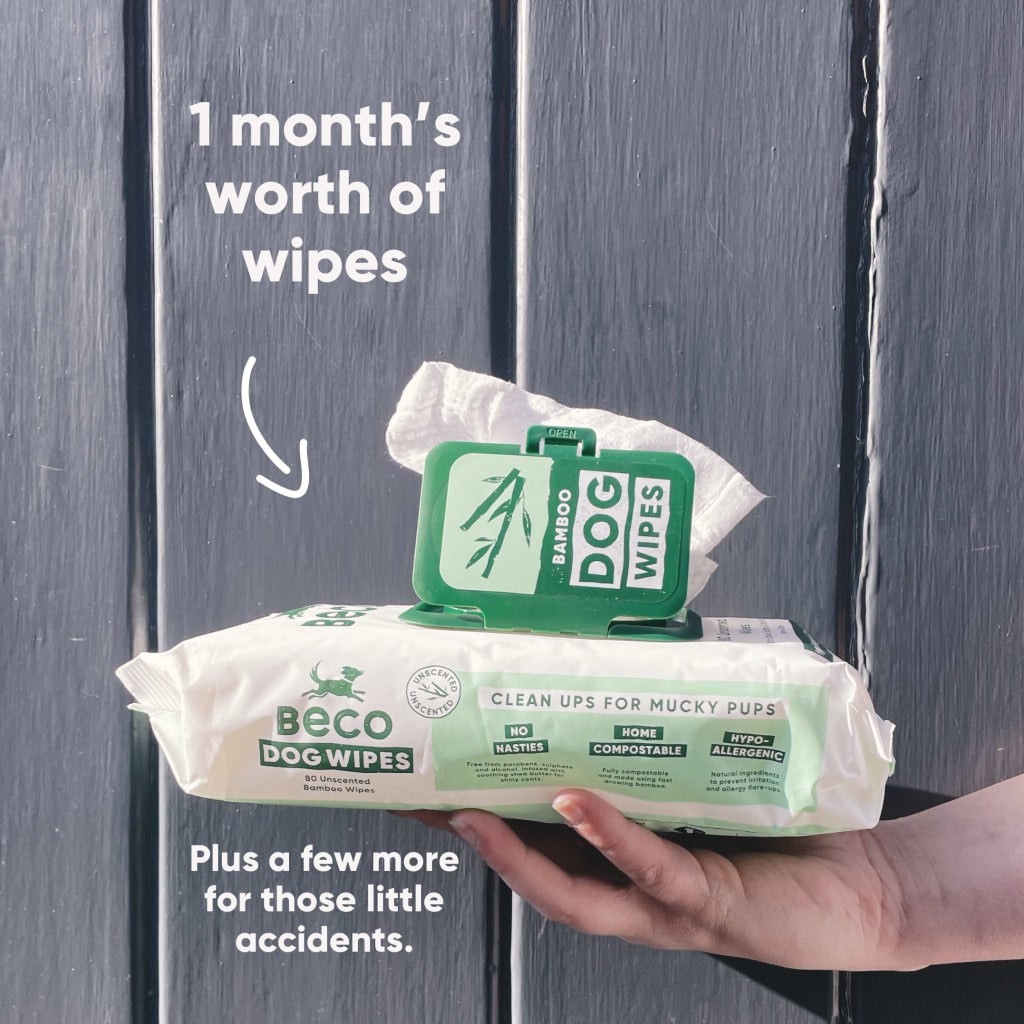 Beco Bamboo Dog Wipes Coconut Scented