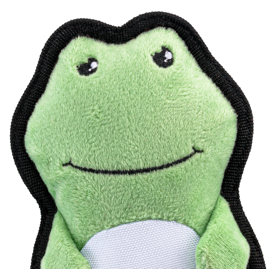 Beco Dog Toy Frog - Floats Squeaks Made from Recycled Materials - Dog Toys