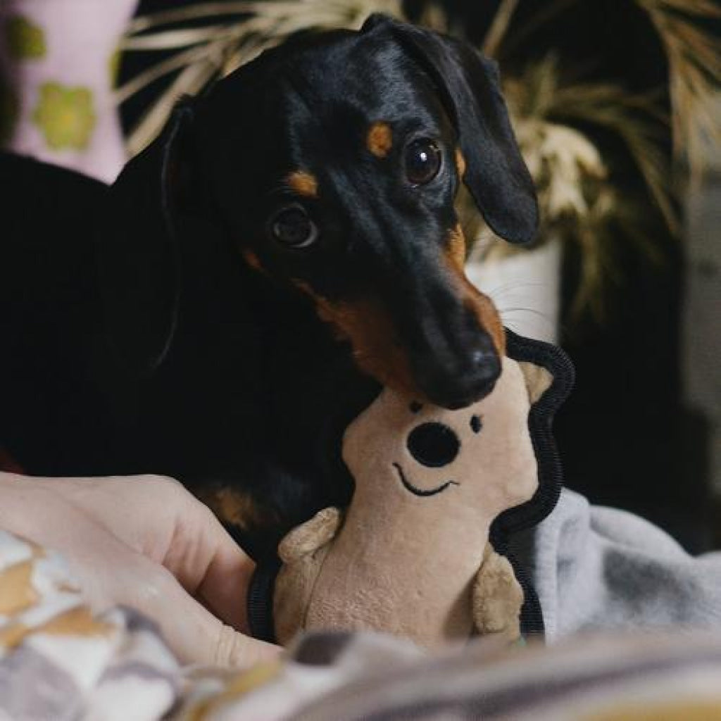 Beco Dog Toy Quokka | Floats Squeaks Sustainable Material - Dog Toys