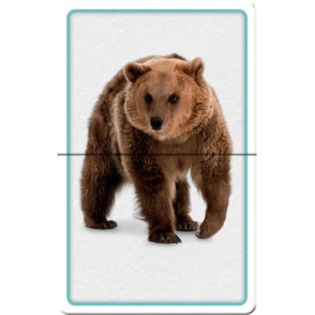 Hinkler Slide & Learn Flashcards Animals Flash Cards