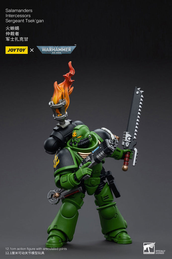 Joytoy Warhammer 40K Salamanders Intercessors Sergeant Tsek’gan Warhammer