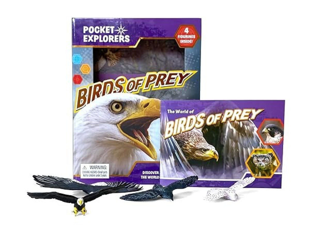 Pocket Explorers: Birds Of Prey Pocket Explorers