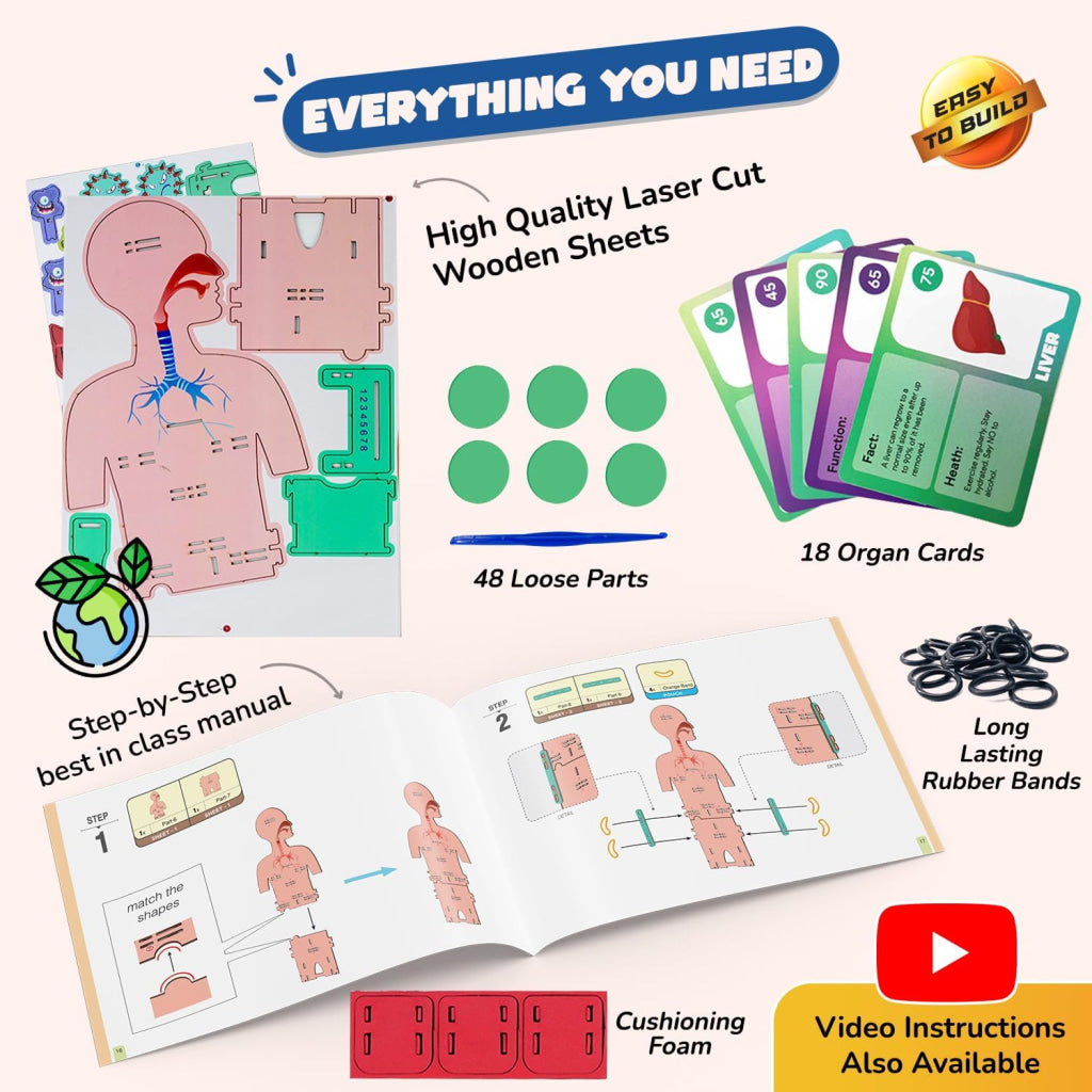 Smartivity Human Body 5-in-1 DIY STEM Construction Toy - Brain