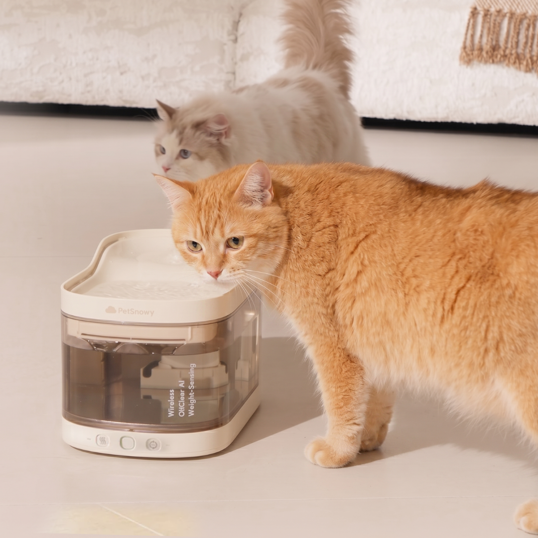 PetSnowy Wireless Pet Water Fountain