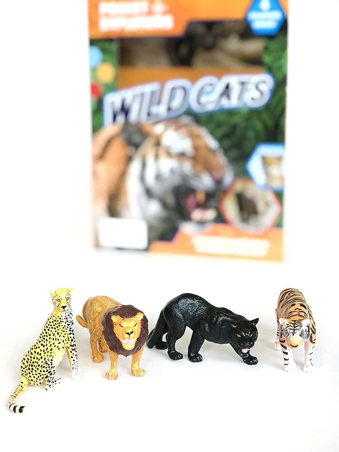 Pocket Explorers : Wildcats