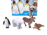 Pocket Explorers : Polar Animals