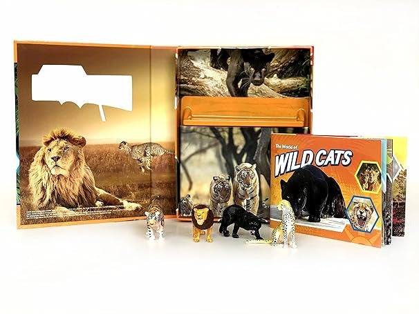 Pocket Explorers : Wildcats