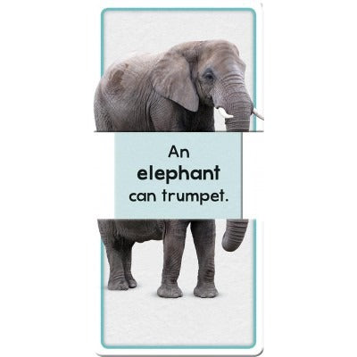 Hinkler Slide & Learn Flashcards Animals