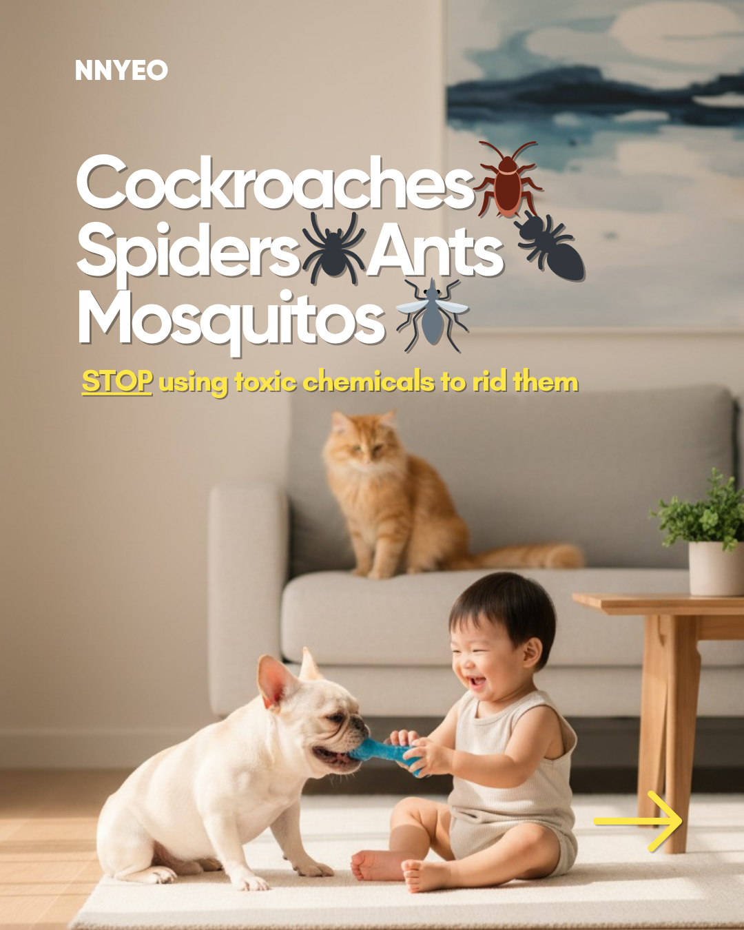 100% Natural Insecticide