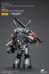 JOYTOY Warhammer 40K Grey Knights Interceptor Squad Interceptor with Storm Bolter and Nemesis Force Sword JT8988