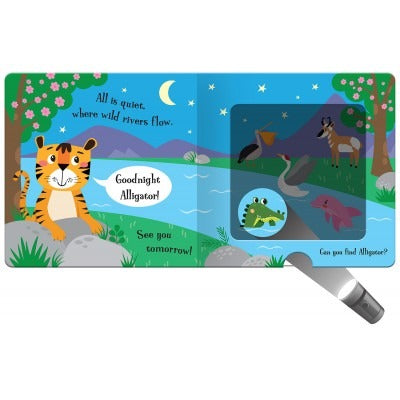 自宅で壮大な科学