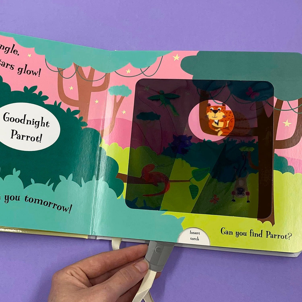 Imagine That - Torchlight Book Goodnight Monkey