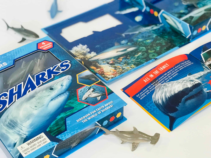 Pocket Explorers : Sharks