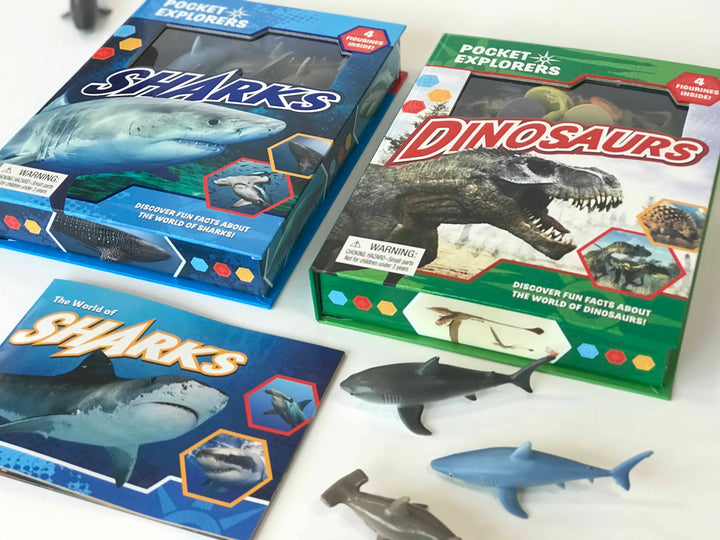 Pocket Explorers : Sharks