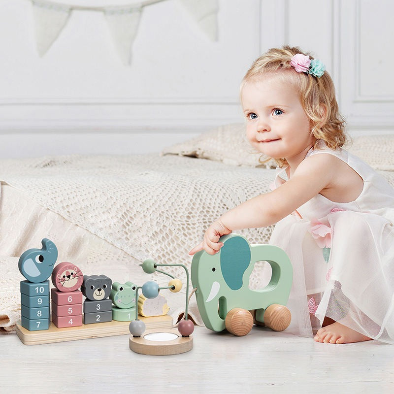 PHOOHI Wooden Educational Toy Trio