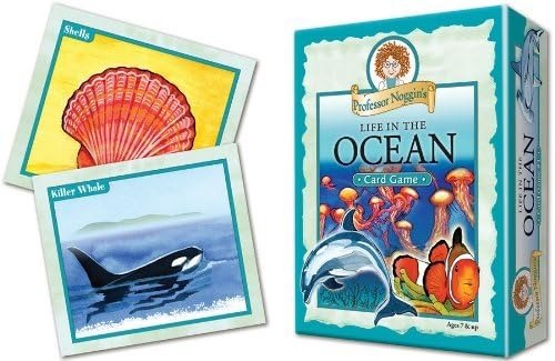 Professor Noggin’s Life In The Ocean Card Game
