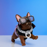 Real Littles Cutie Carries Pack - French Bulldog
