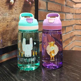 BPA FREE Kids Water Bottle with Straw 480ML