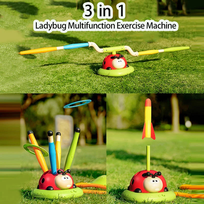 Ladybug Multifunction Sport Game