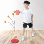 Table Tennis Training Device
