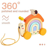 Wooden Rainbow Snail Toy