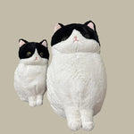 Kitty Cat Soft Plush Toy