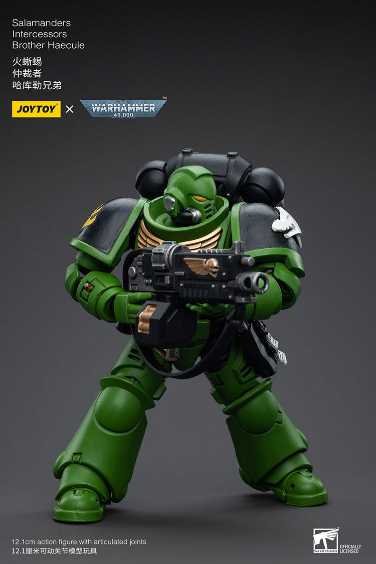 JOYTOY Warhammer 40K Salamanders Intercessors Brother Haecule