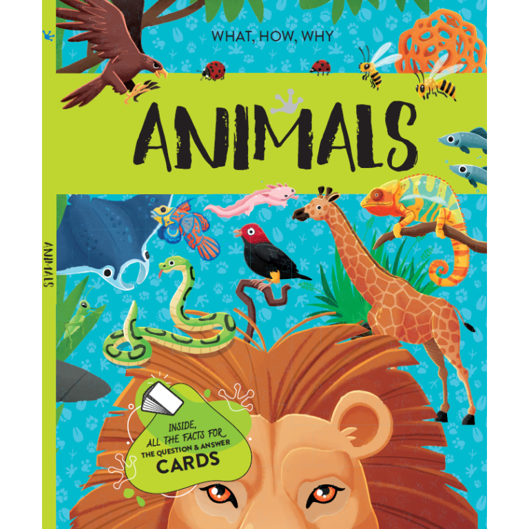 Sassi Mega Atlas : The Ultimate Atlas Animals