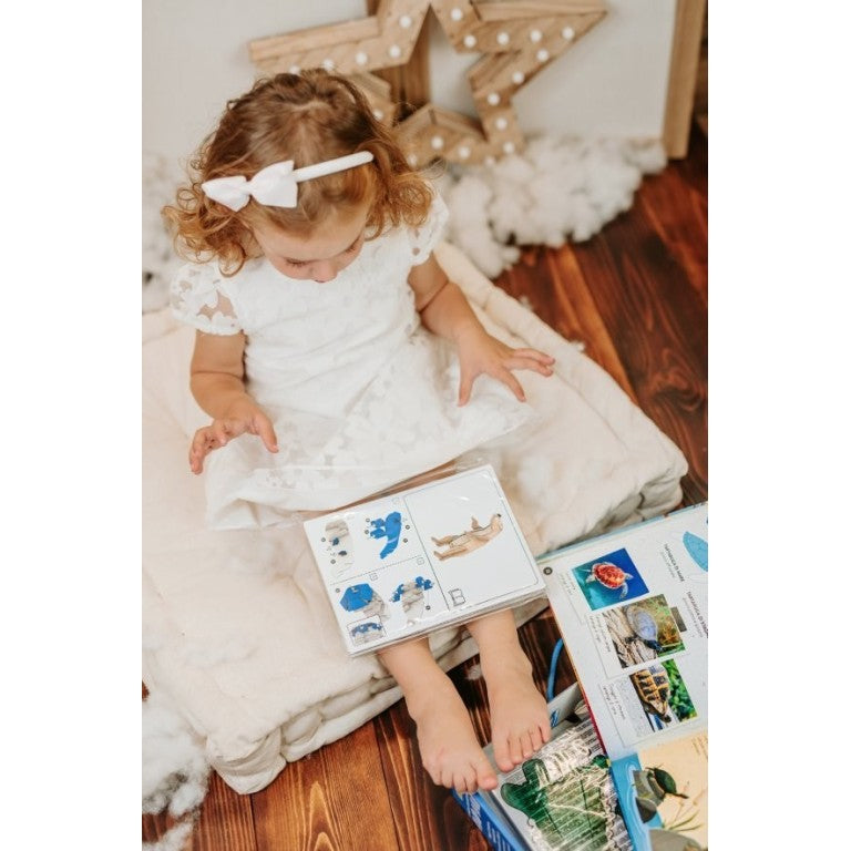 Sassi Mega Atlas : The Ultimate Atlas Animals