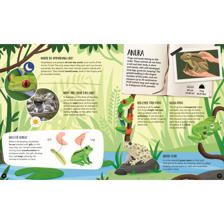 Sassi Mega Atlas : The Ultimate Atlas Animals