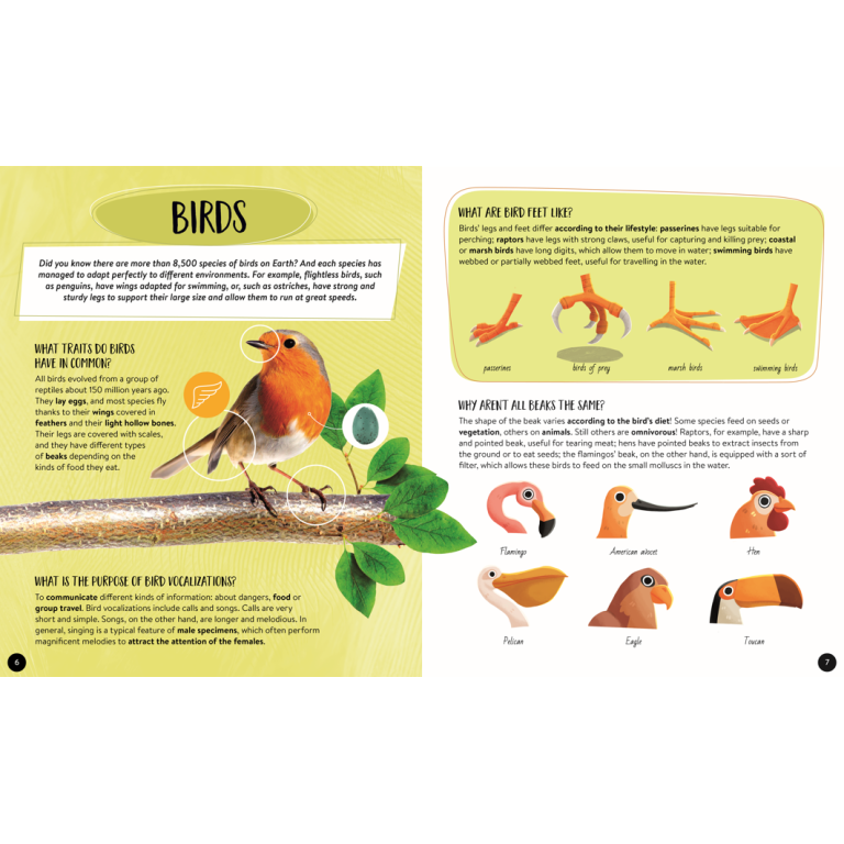 Sassi Mega Atlas : The Ultimate Atlas Animals