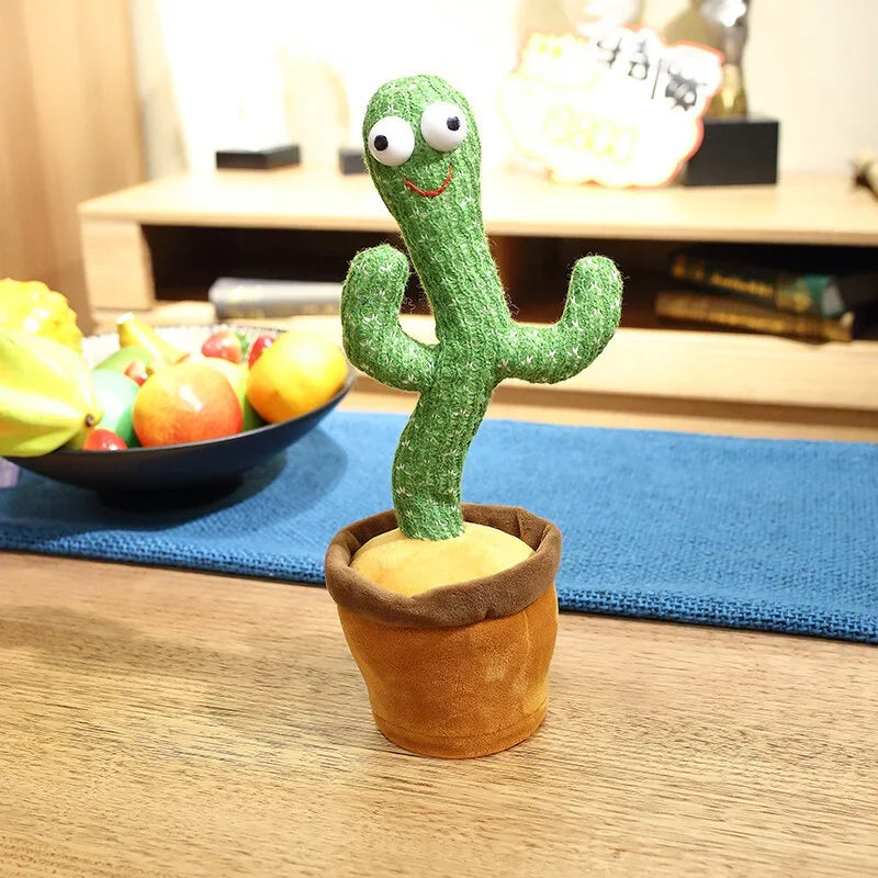 Sing And Dance Cactus