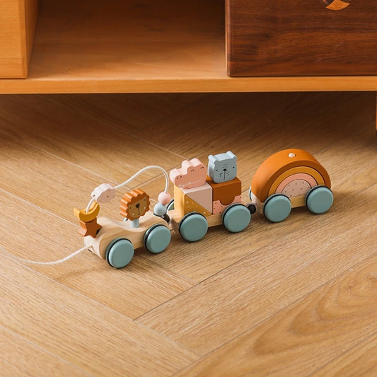 Wooden Rainbow Train