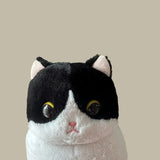 Kitty Cat Soft Plush Toy