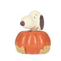Shaky! Peanuts Bubble Head Doll Natural Color Edition 2 - Blind Box Peanuts