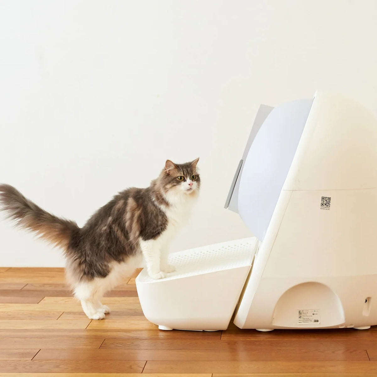 CATLINK Ramp for Scooper Pro Ultra / Luxury Pro / Luxury Pro-X / Young / Young Pro-X