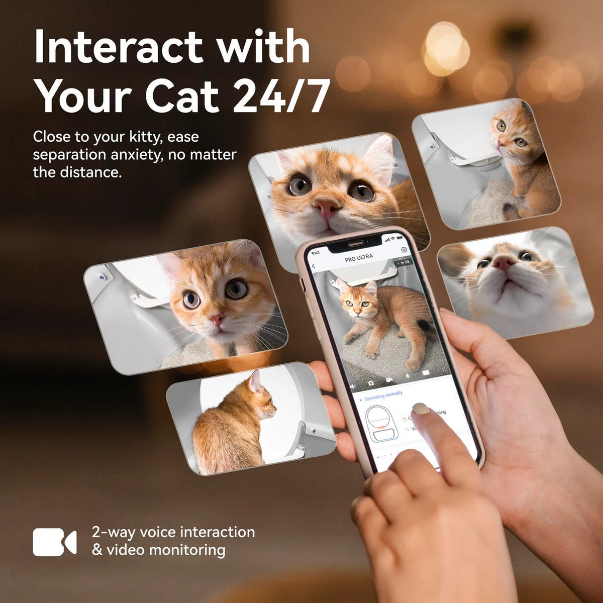 CATLINK AI 2.4/5GHz Camera Cat Litter Box - Scooper Pro Ultra