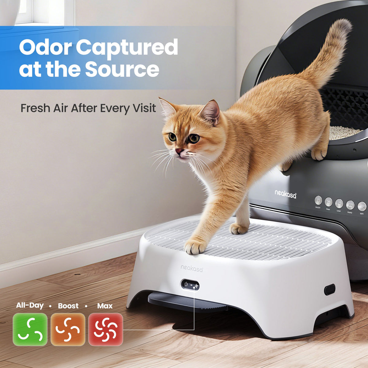 Neakasa AirStep Odor-Eliminating Cat Litter Box Step Purifier