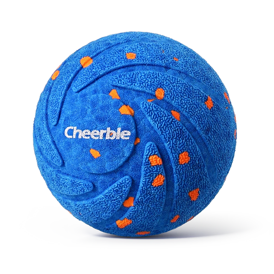 Cheerble Wicked Ball Air