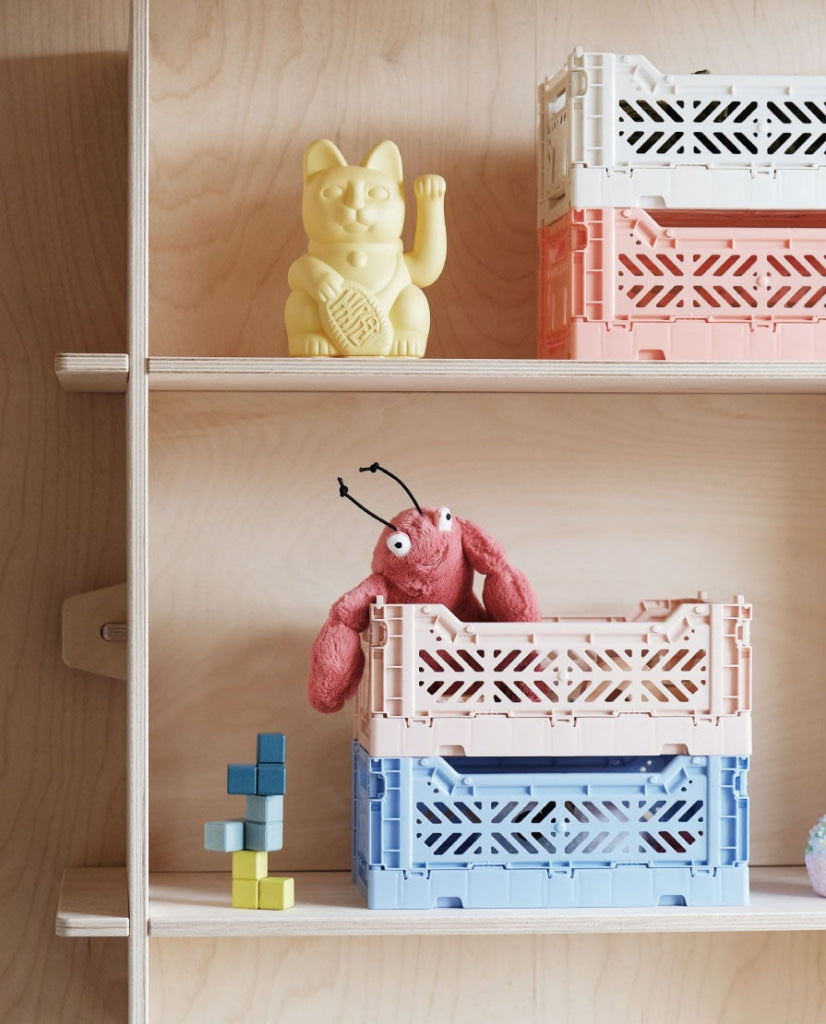 Aykasa Folding Minibox Colour Crate - Storage