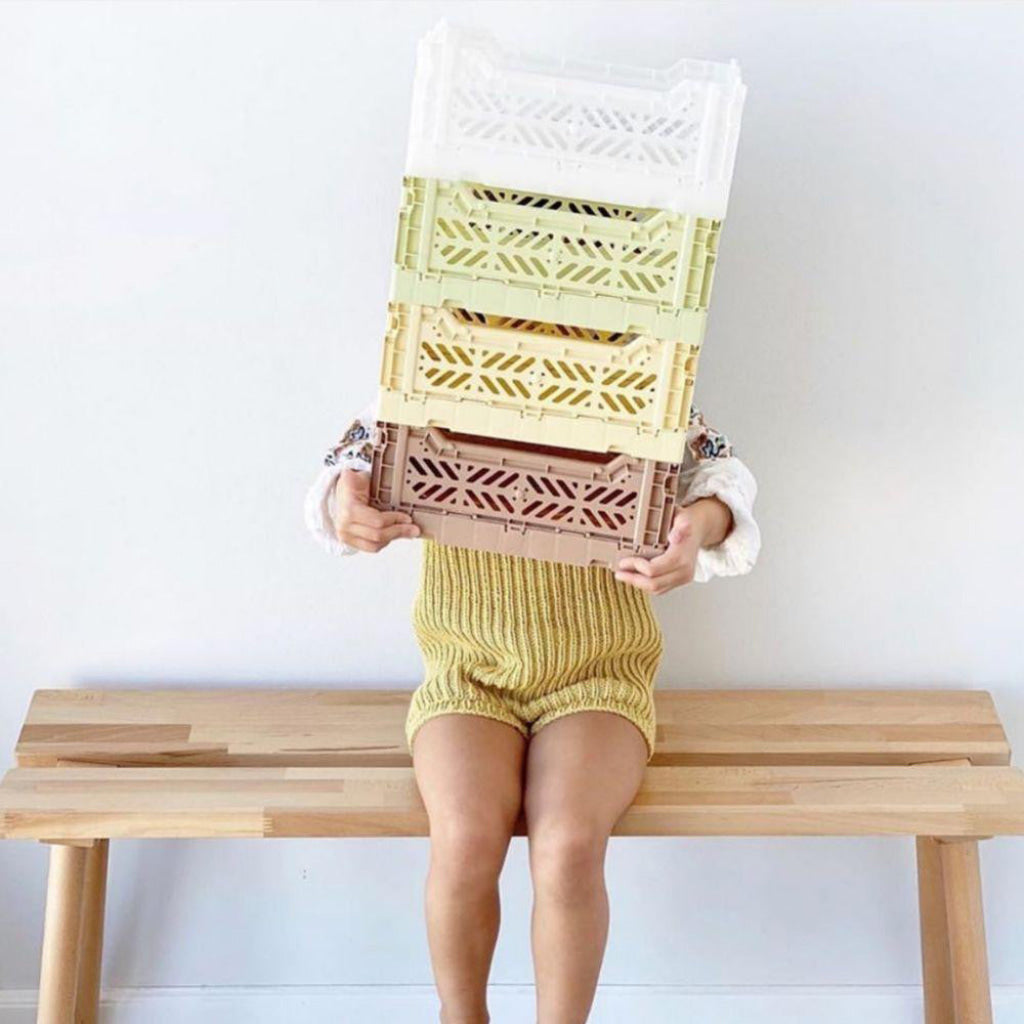 Aykasa Folding Minibox Colour Crate - Storage