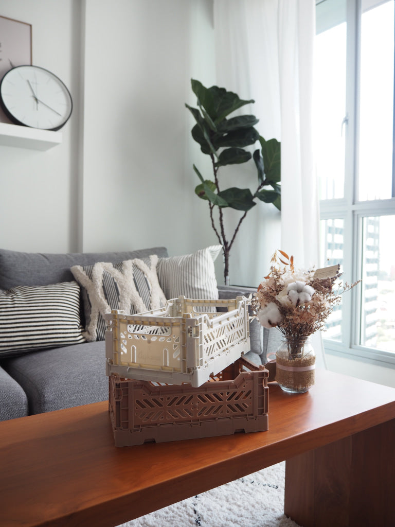 Aykasa Folding Minibox Colour Crate - Storage