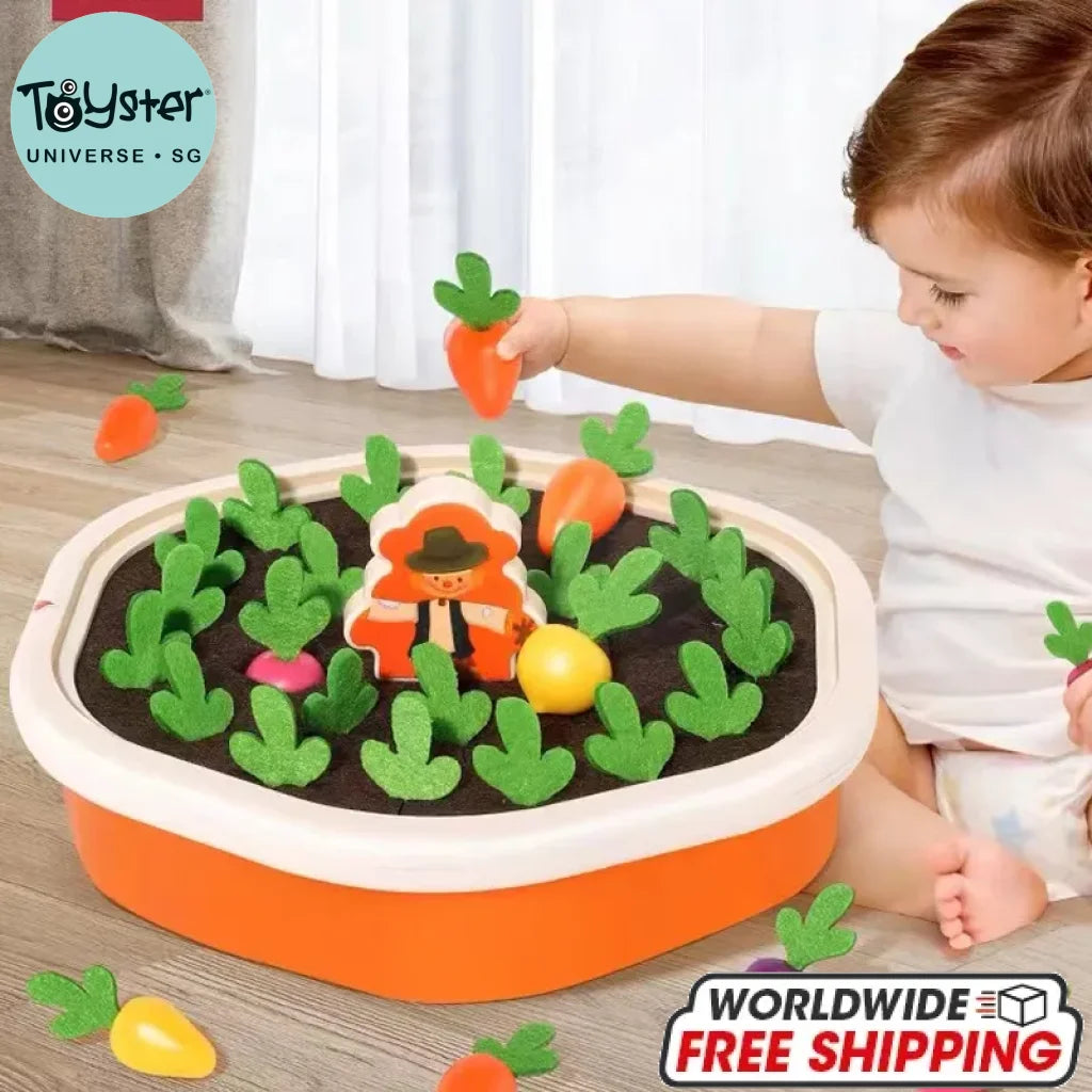 Baby Montessori Carrot Farm For Toddler