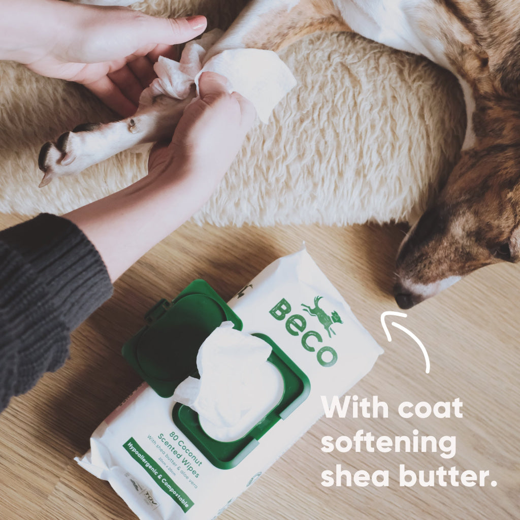 Beco Bamboo Dog Wipes Coconut Scented