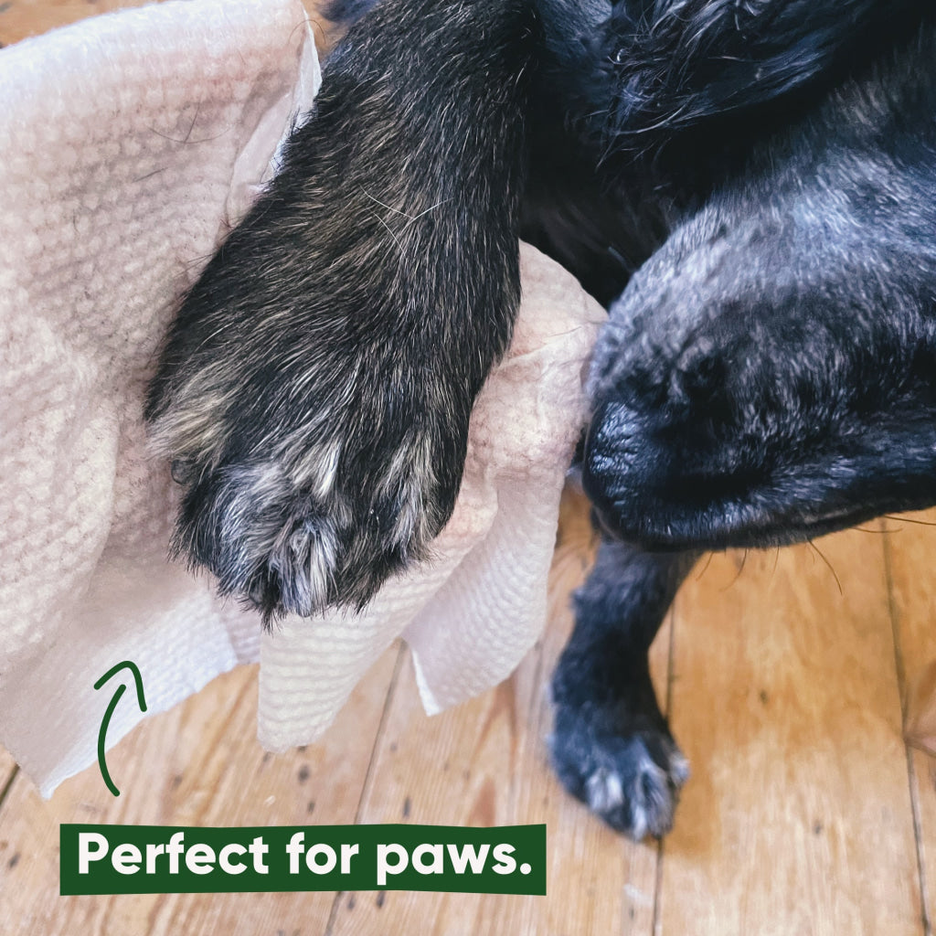 Beco Bamboo Dog Wipes Unscented