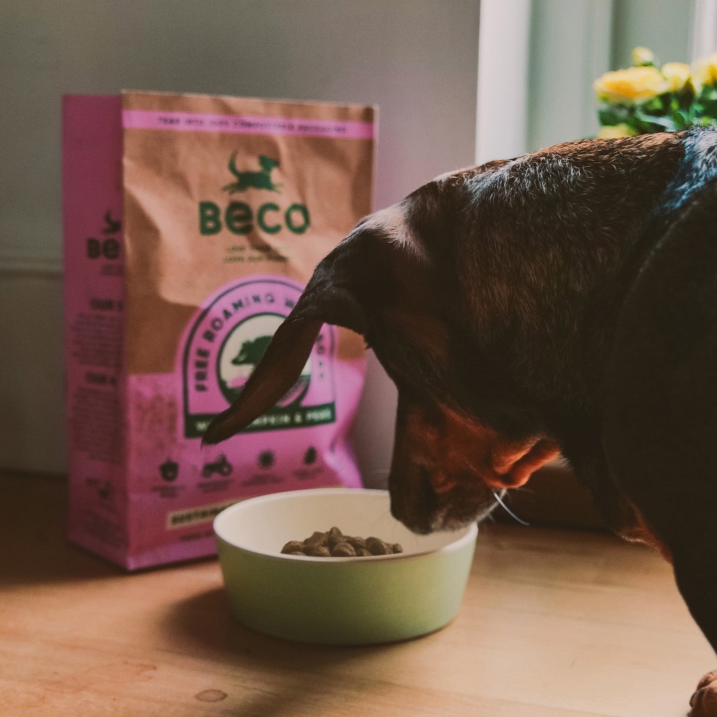 Beco Bamboo Pet Bowl, Fresh Mint