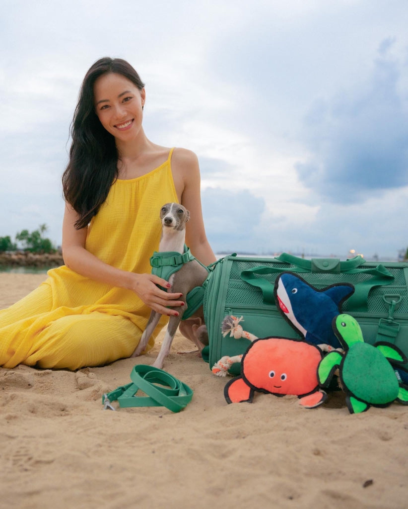 Beco Dog Toy Crab | Floats Squeaks Sustainable Material - Dog Toys