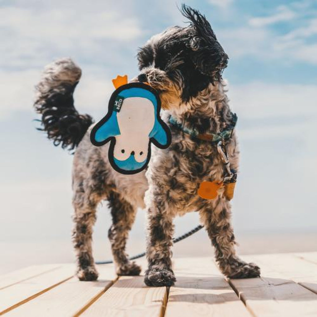 Beco Dog Toy Penguin – Floats Squeaks Made with Recycled Materials - Dog Toys