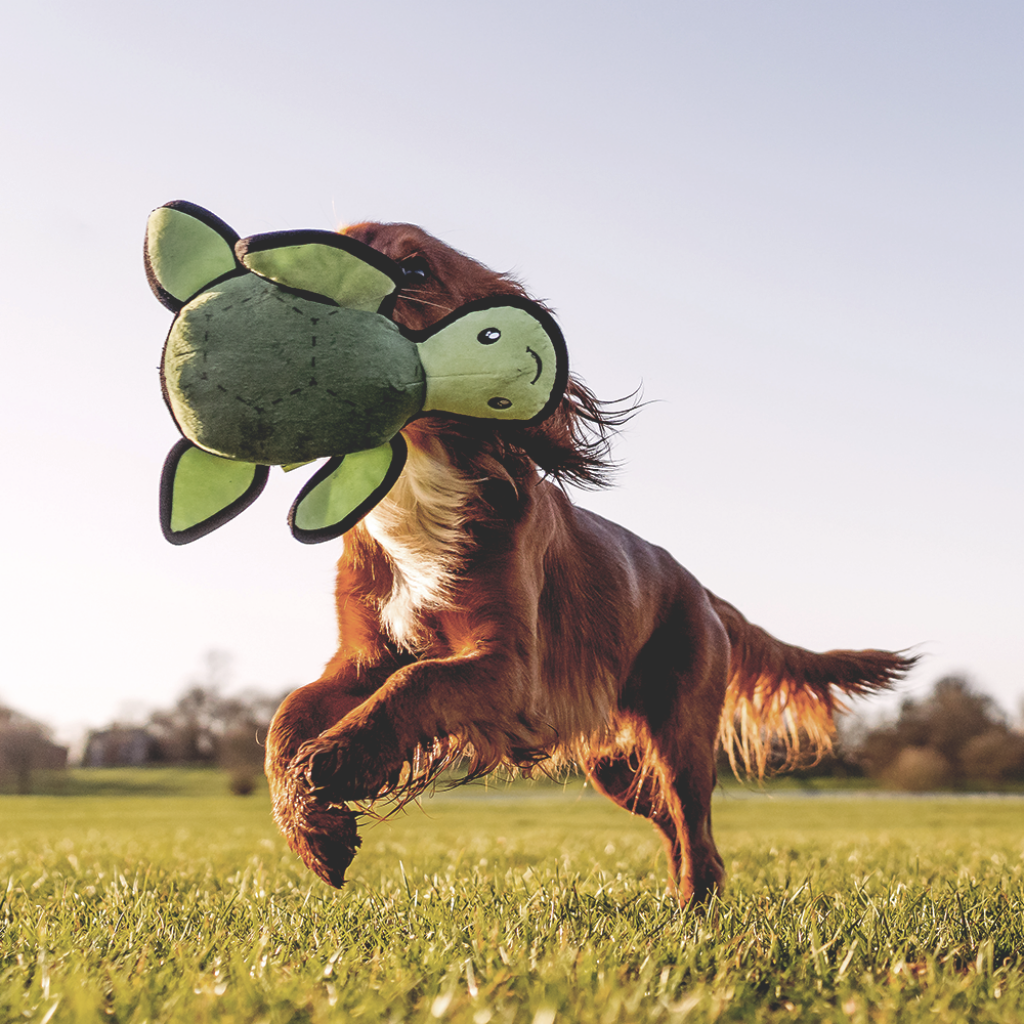 Beco Dog Toy Turtle | Floats Squeaks Sustainable Material - Dog Toys